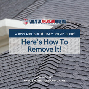Don't Let Mold Ruin Your Roof - Here's How To Remove It!