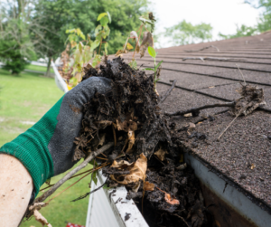 Fall Roof Maintenance Checklist